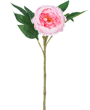 The Artificial Peony Real Touch Pink 58cm is an artificial pink peony with layered petals, a yellow heart, green leaves and a long brown stem, depicted against a plain white background.