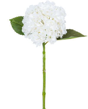 The Artificial Hydrangea "Annabelle" Real Touch White 55cm has a single white hydrangea flower with a round cluster of petals, two large green leaves and a long green stem, against a plain white background.