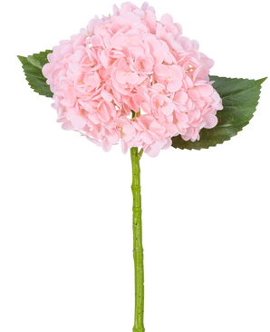 The Artificial Hydrangea "Annabelle" Real Touch Pink 55cm has a single pink hydrangea flower with petals, two green leaves and a long green stem, against a white background.