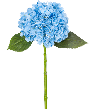 The Artificial Hydrangea "Annabelle" Real Touch Blue 55cm has a single blue hydrangea with petals, two green leaves and a long stem, against a plain white background.