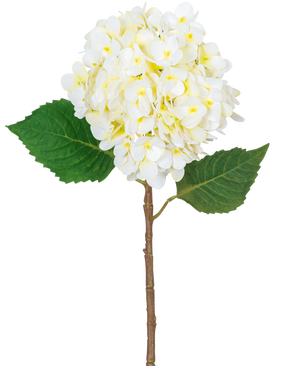 The Artificial Flower Hydrangea Real Touch Cream 58 cm has a single hydrangea stem with a large cluster of light cream flowers and two green leaves, isolated on a white background.
