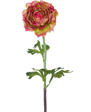 The Artificial Flower Ranunculus 51 cm pink/green is a single artificial ranunculus with pink and green petals, green leaves and a long stem, against a white background.