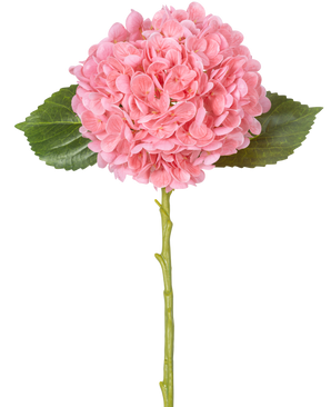 The Artificial Flower Charlotte Hydrangea Real Touch Pink 49 cm has a single pink hydrangea with dense, round bunches of petals, two green leaves and a long green stem on a white background.