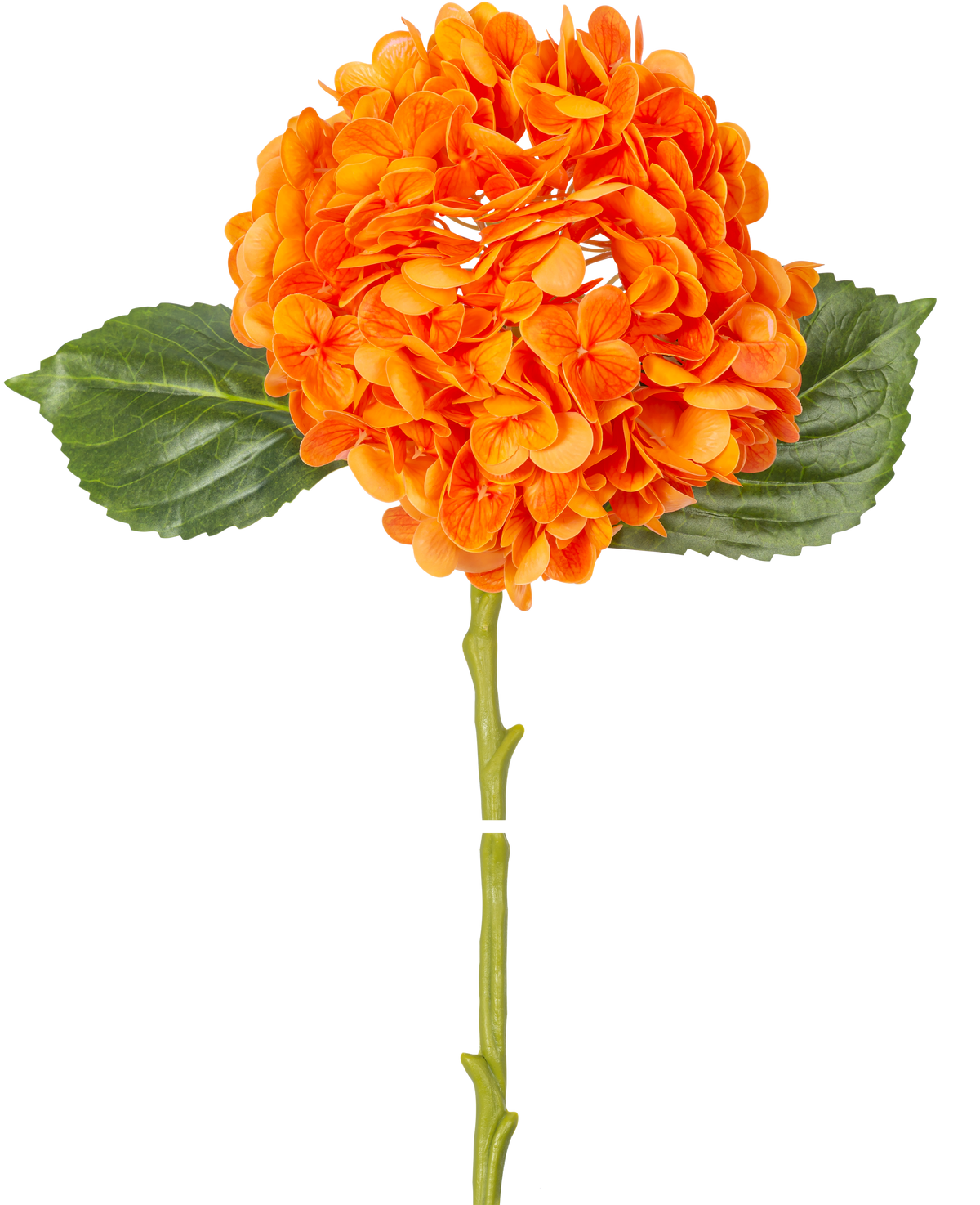 The Artificial flower Charlotte hydrangea Real Touch orange 49 cm has an orange hydrangea flower with realistic petals, green leaves and a long stem, isolated on a white background.