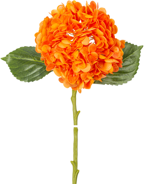 The Artificial flower Charlotte hydrangea Real Touch orange 49 cm has an orange hydrangea flower with realistic petals, green leaves and a long stem, isolated on a white background.