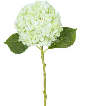 The Artificial Flower Hydrangea Real Touch Light Green 49 cm has a single light green hydrangea flower with round petals, two green leaves and a long stem on a white background.