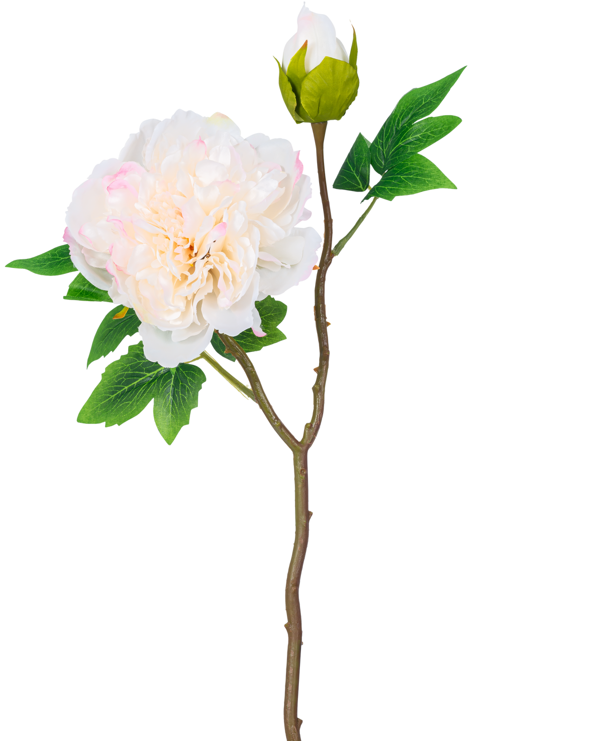 A single stem of Artificial Flower Peony 50 cm white has a large, white peony flower in full bloom, a closed bud and green leaves against a plain white background.