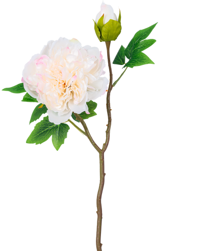 A single stem of Artificial Flower Peony 50 cm white has a large, white peony flower in full bloom, a closed bud and green leaves against a plain white background.