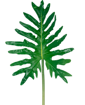 The Artificial Leaf Philodendron 90cm has one large green split leaf with deep lobes and a long stem, against a plain white background.