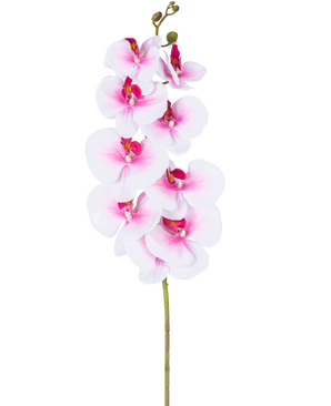 The Artificial Orchid Real Touch Deluxe 105 cm pink/white has a single pink artificial phalaenopsis stem with white accents, realistic silk flowers and buds, all elegantly displayed on a white background.