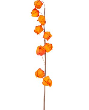 A single stem of Artificial Flower Physalis Lampion 90 cm orange, with multiple bright orange, lantern-shaped pods, is shown against a plain white background.