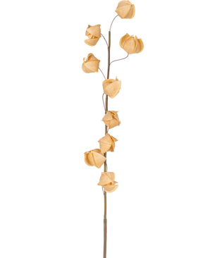 An Artificial Physalis Lampion flower 90 cm brown with a single tall stem and several dried, brown, papery husks spread along its length, against a plain white background.