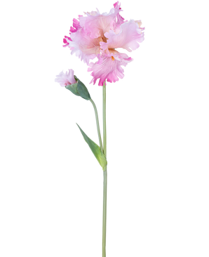 The Artificial Flower Iris 80 cm pink has a single pink iris stem with ruffles in the petals and a closed bud, against a plain white background.