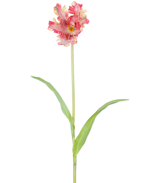 An Artificial Flower French Parakeet Tulip 76 cm in red/yellow with ruffles on the petals, a long green stem and two elongated green leaves, against a white background.