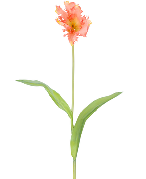 A single Artificial Flower French Parakeet Tulip 76 cm coral with ruffles of pink and yellow petals and two long green leaves on a long stem, against a plain white background.