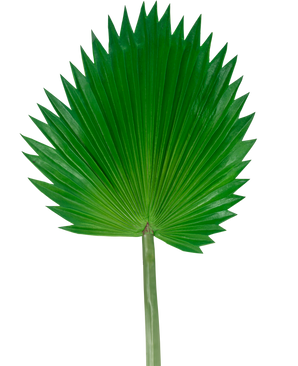 The Artificial Leaf Washingtonia 83cm is a large, green artificial fan palm leaf with a long stem, depicted against a plain white background.