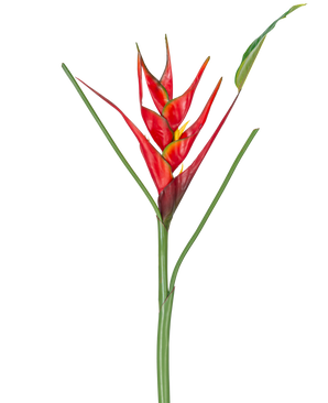 The Artificial Flower Heliconia 90 cm red features a single artificial Heliconia flower with vibrant red and yellow bracts on a long green stem, complete with slender leaves, perfect for displaying against a white background.