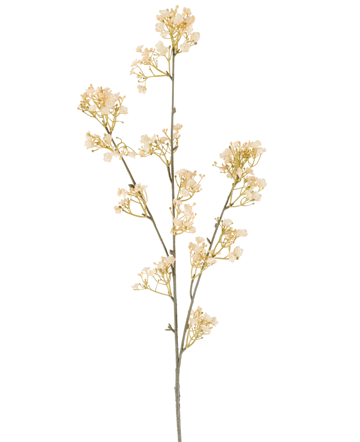 A single stem of Artificial Flower Gypso, 106 cm, cream/brown, with small, graceful cream and brown flowers that branch, set on a white background.