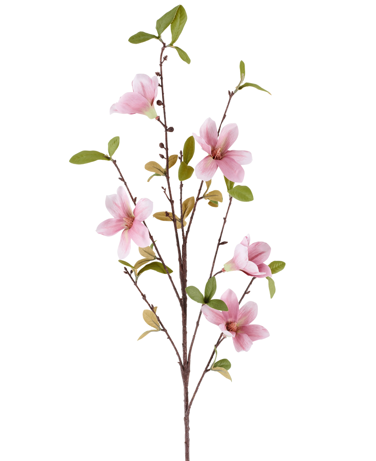 A slim Artificial Flower Magnolia branch of 94 cm in old pink, with several pink magnolia flowers and green leaves against a white background.