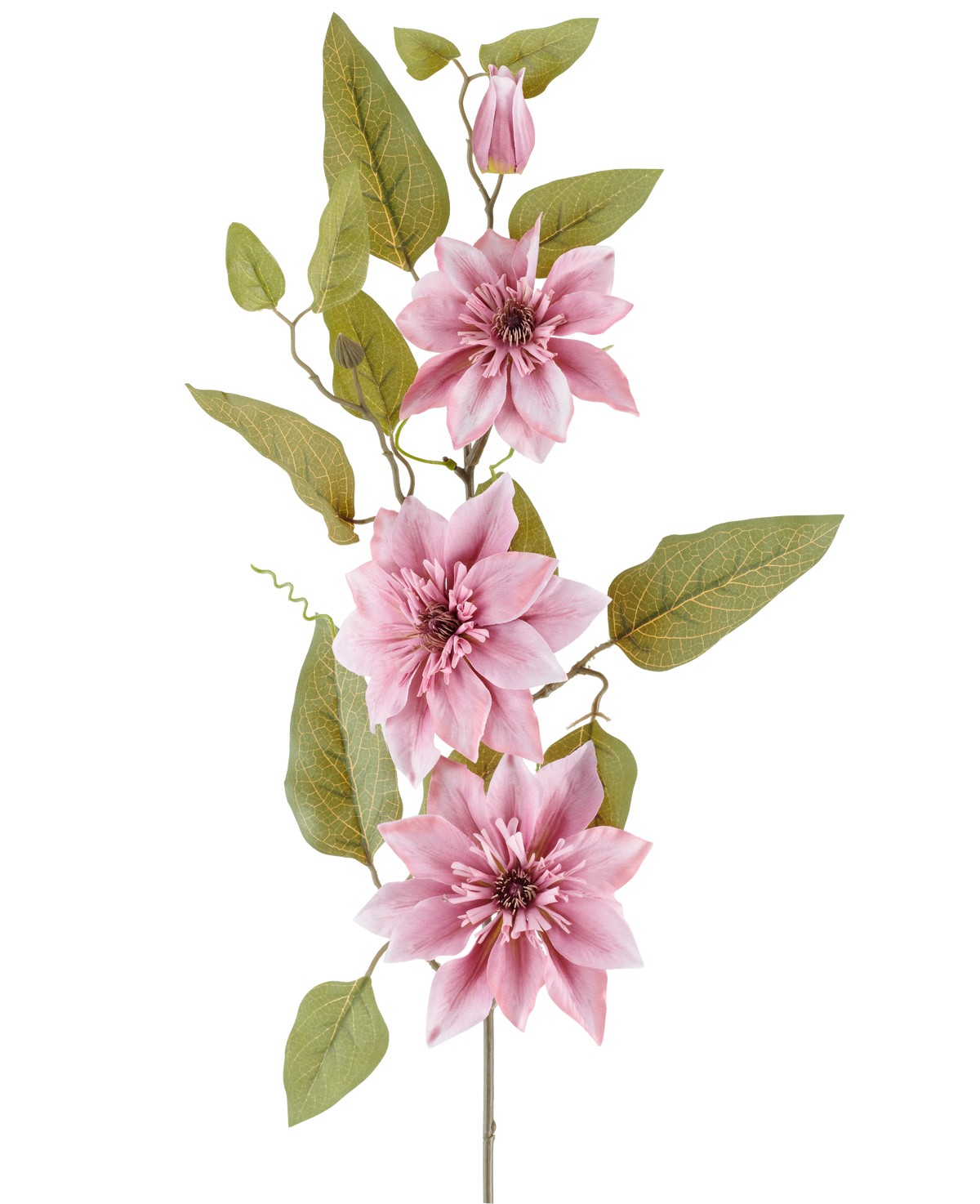 A stem of the Artificial Flower Clematis 81 cm old pink, with three old pink clematis flowers, a closed pink bud and several green leaves, against a white background.