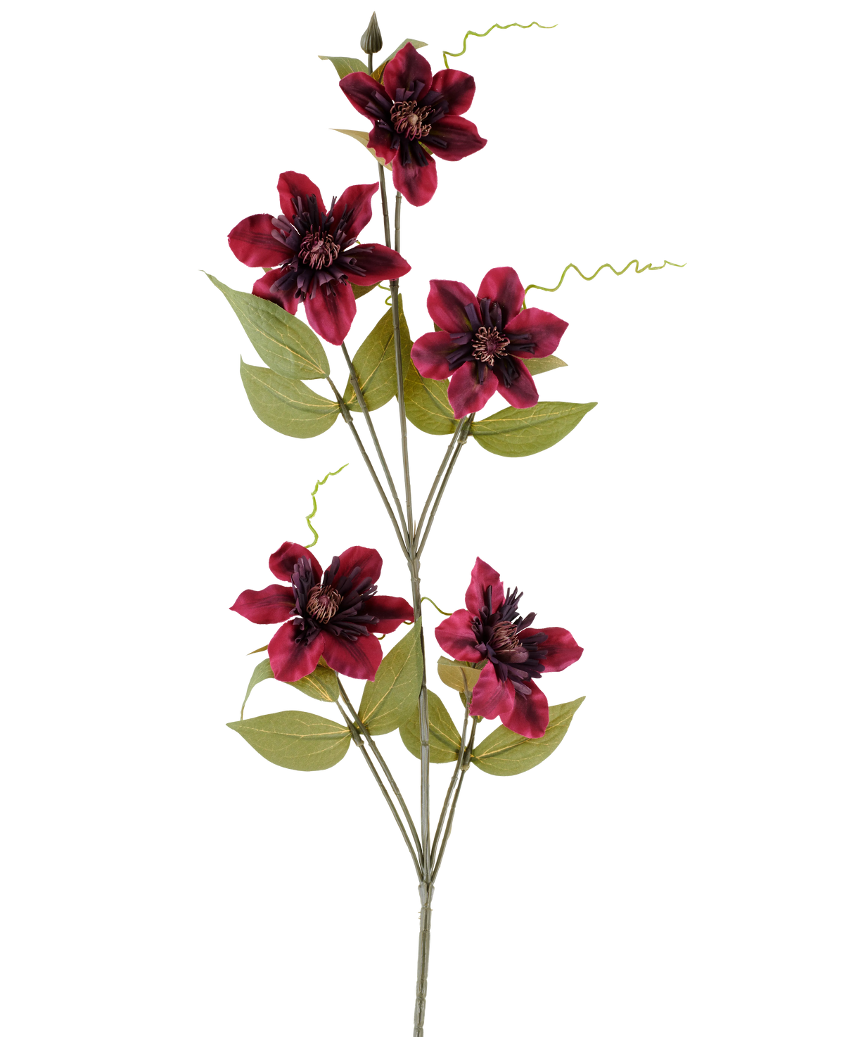 A single artificial flower Clematis 78 cm burgundy, an artificial stem, consists of five deep red burgundy-colored flowers with dark centers, surrounded by green leaves and curled tendrils, against a plain white background.