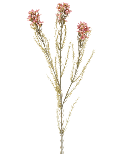 A single 78cm Artificial Flower Wax in old pink has a green stem with three branches, each bearing small, delicate old pink flowers and thin, needle-like leaves, displayed against a plain white background.