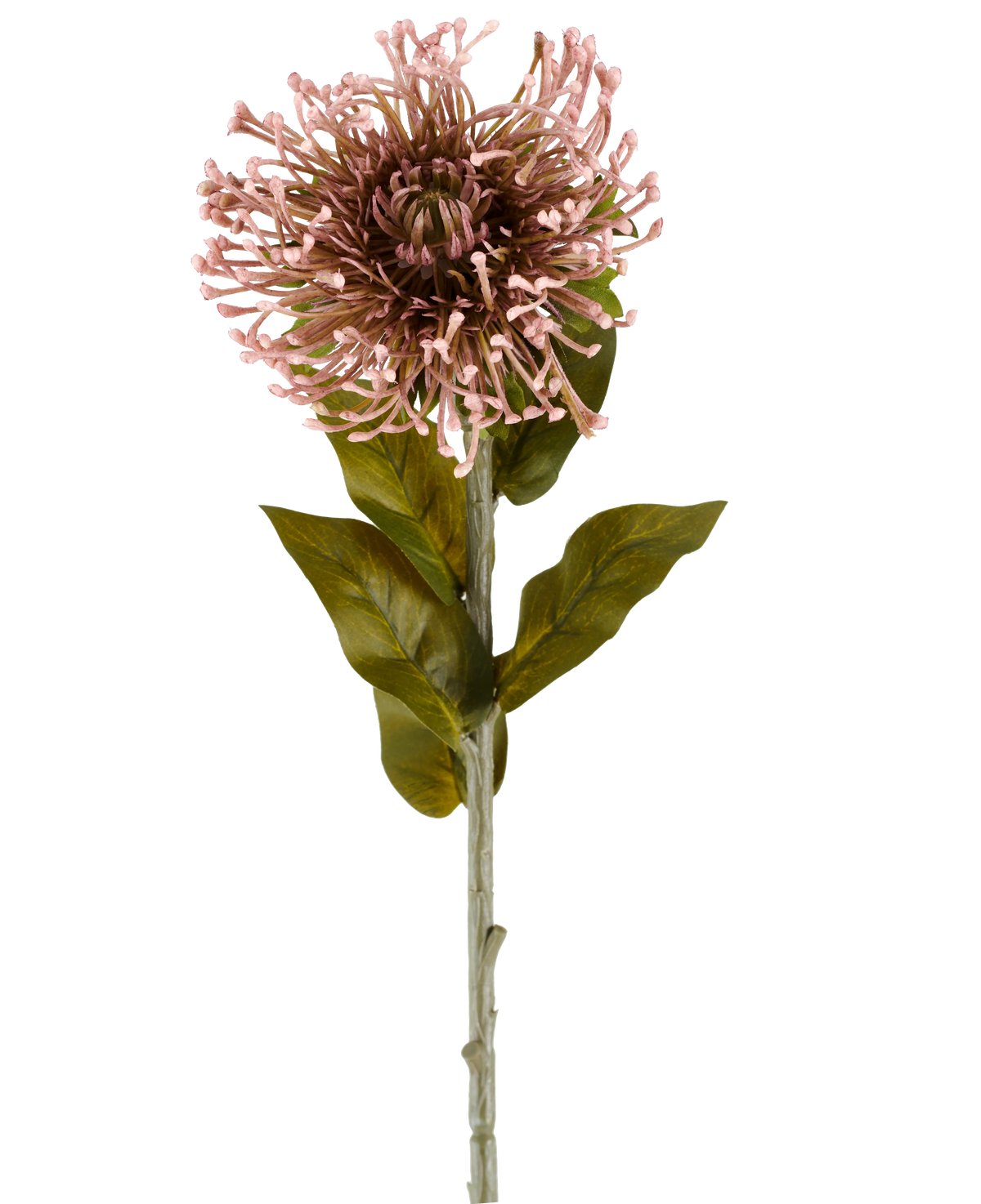 The Artificial Flower Protea 65 cm mauve is a single artificial flower in the shape of a protea, with a round cluster of mauve, pointed petals, green leaves and a long stem, depicted against a plain white background.