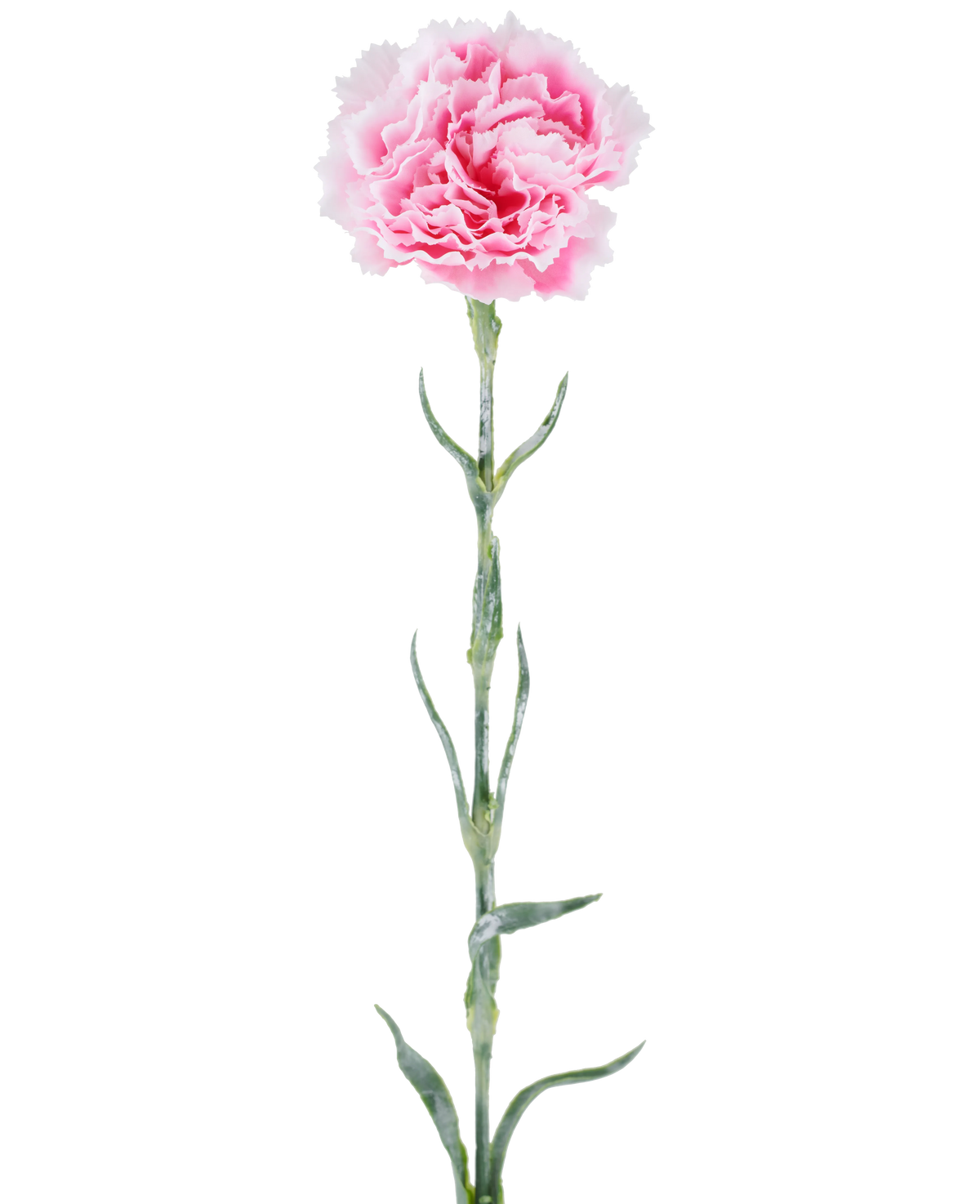 Artificial flower: 68 cm carnation, pink, with ruffled pink petals on a long green stem, isolated against a white background.