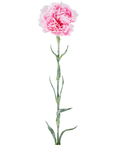 Artificial flower: 68 cm carnation, pink, with ruffled pink petals on a long green stem, isolated against a white background.