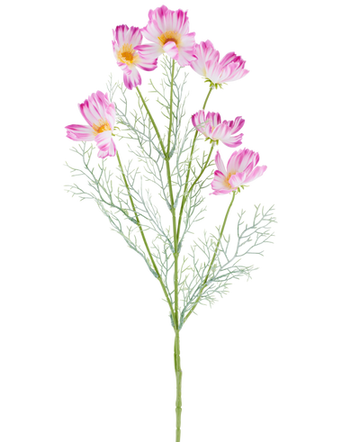 A 78 cm Artificial Flower Cosmo in cream/pink, with multiple light pink and white cosmos flowers and feathery green leaves, depicted against a plain white background.