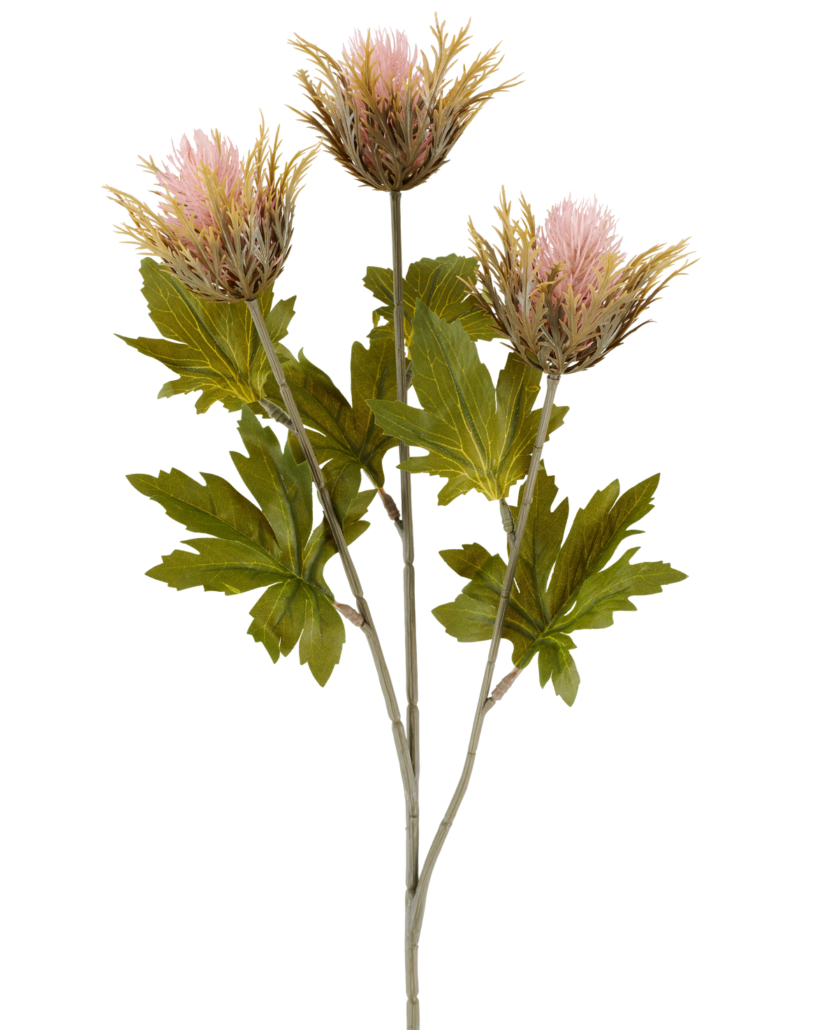 Artificial flower Thistle 67 cm old pink consists of three pink and gold-colored, spiky artificial thistle flowers with green leaves on gray stems, depicted against a white background.