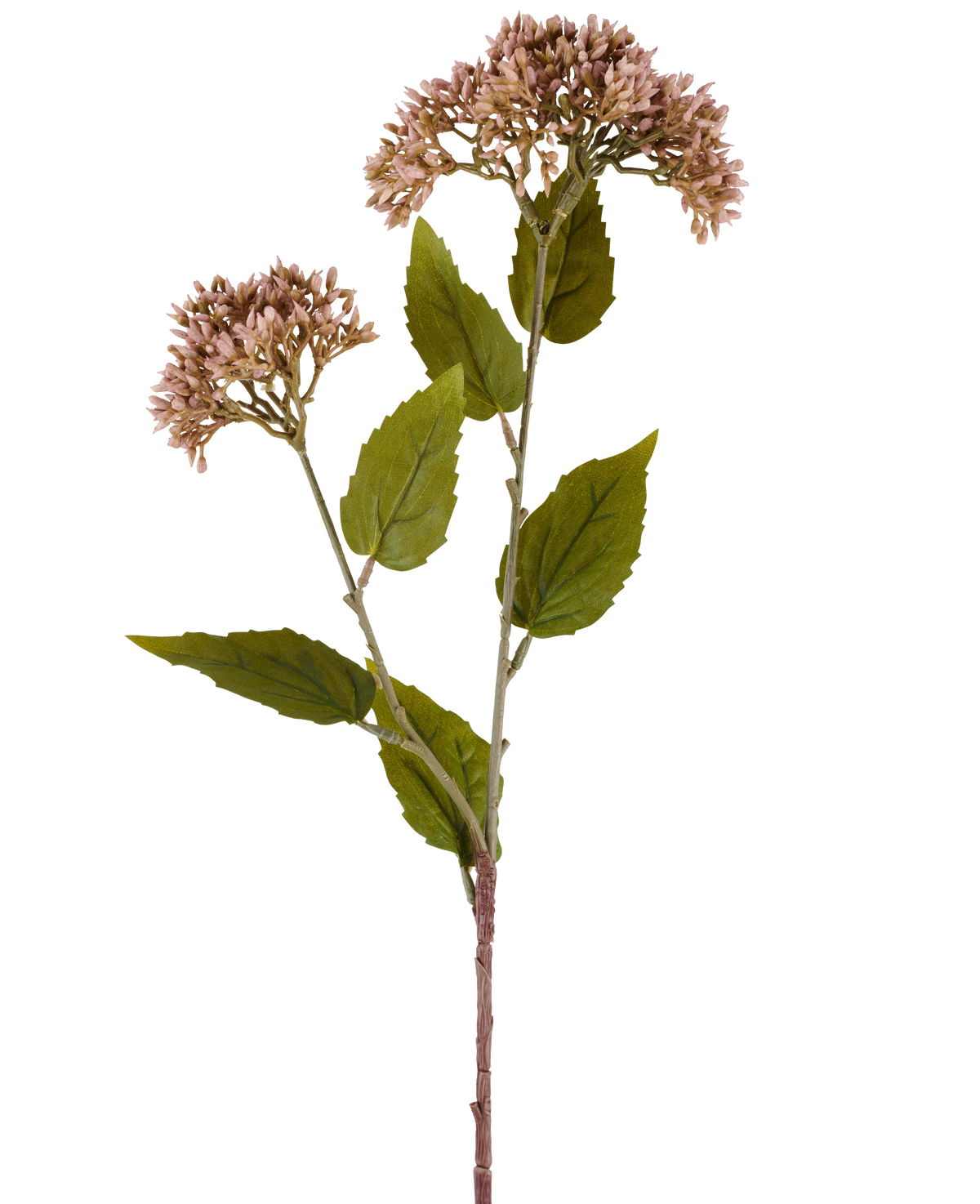 A single stem of Artificial Flower Sedum 67 cm mauve has two bunches of small, light mauve flowers and numerous green leaves against a white background.