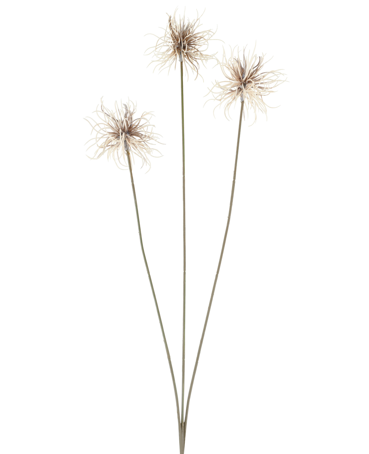 Three artificial flowers of the genus Xanthium in cream and brown, each with thin, long stems of 64 cm, arranged in a fan shape against a plain white background.