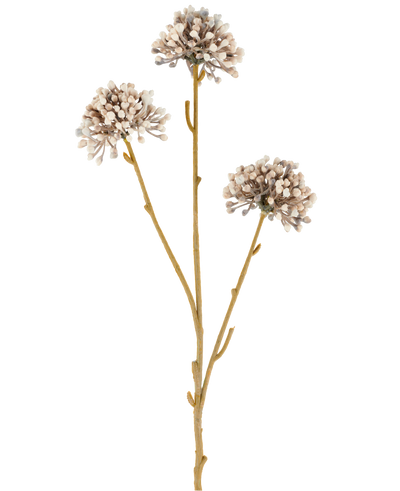Three brown stems of the Artificial Flower Mini Allium 60 cm cream/brown extend upwards, each with a round cluster of small, subtle cream and brown buds at the end against a plain white background. The whole looks minimalist and natural.