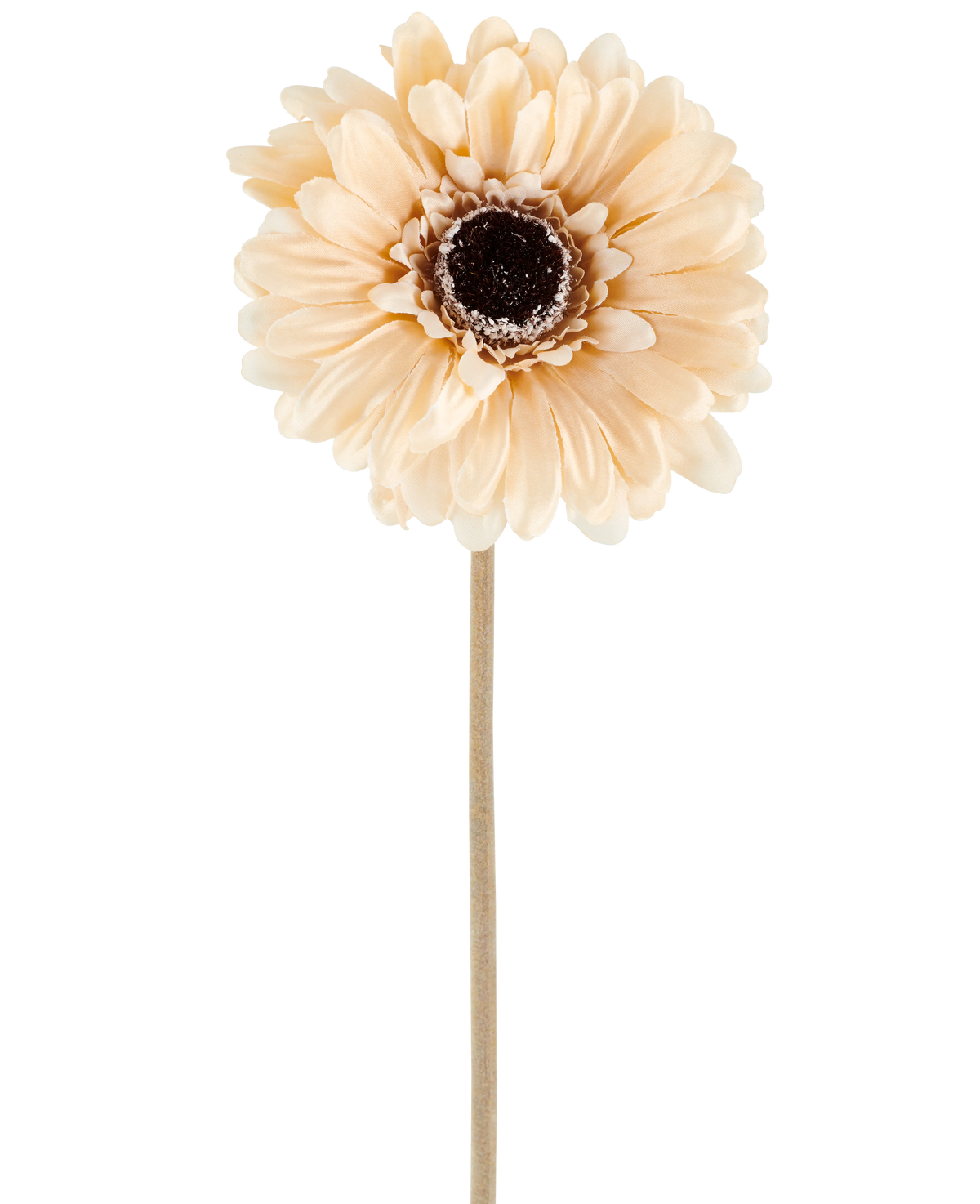 The Artificial Flower Gerbera 53 cm cream/brown consists of a single light peach-colored artificial gerbera with layered petals and a dark brown heart on a long, slender stem, depicted against a plain white background.