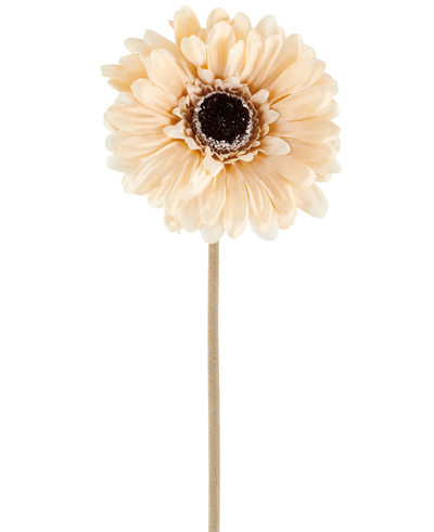The Artificial Flower Gerbera 53 cm cream/brown consists of a single light peach-colored artificial gerbera with layered petals and a dark brown heart on a long, slender stem, depicted against a plain white background.