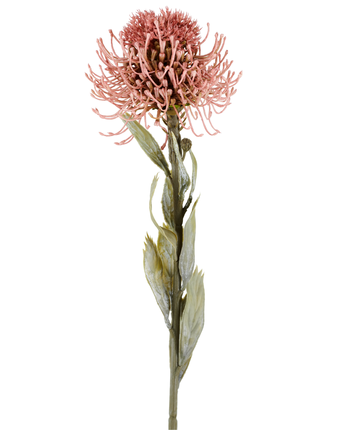 Artificial flower Protea 60 cm old pink with pointed pink petals and green leaves on a long stem, shown against a plain white background.
