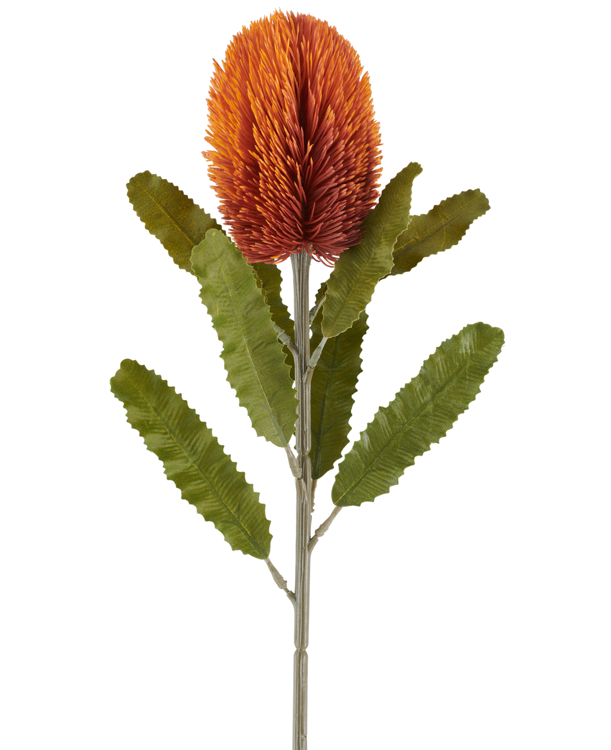 A single 65cm Artificial Flower Banksia in old orange features a large, spiky, old orange flower at the top of a sturdy stem, with several elongated, serrated green leaves arranged symmetrically along the stem, all against a white background.