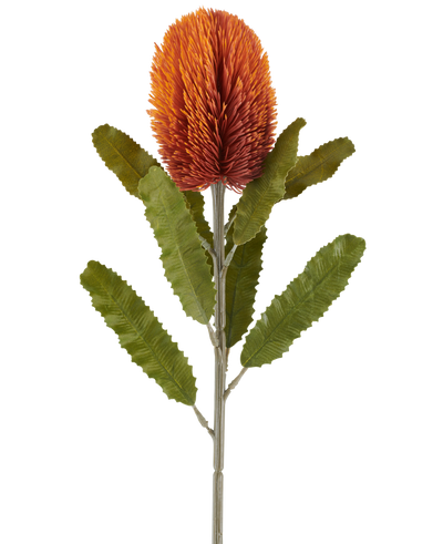 A single 65cm Artificial Flower Banksia in old orange features a large, spiky, old orange flower at the top of a sturdy stem, with several elongated, serrated green leaves arranged symmetrically along the stem, all against a white background.