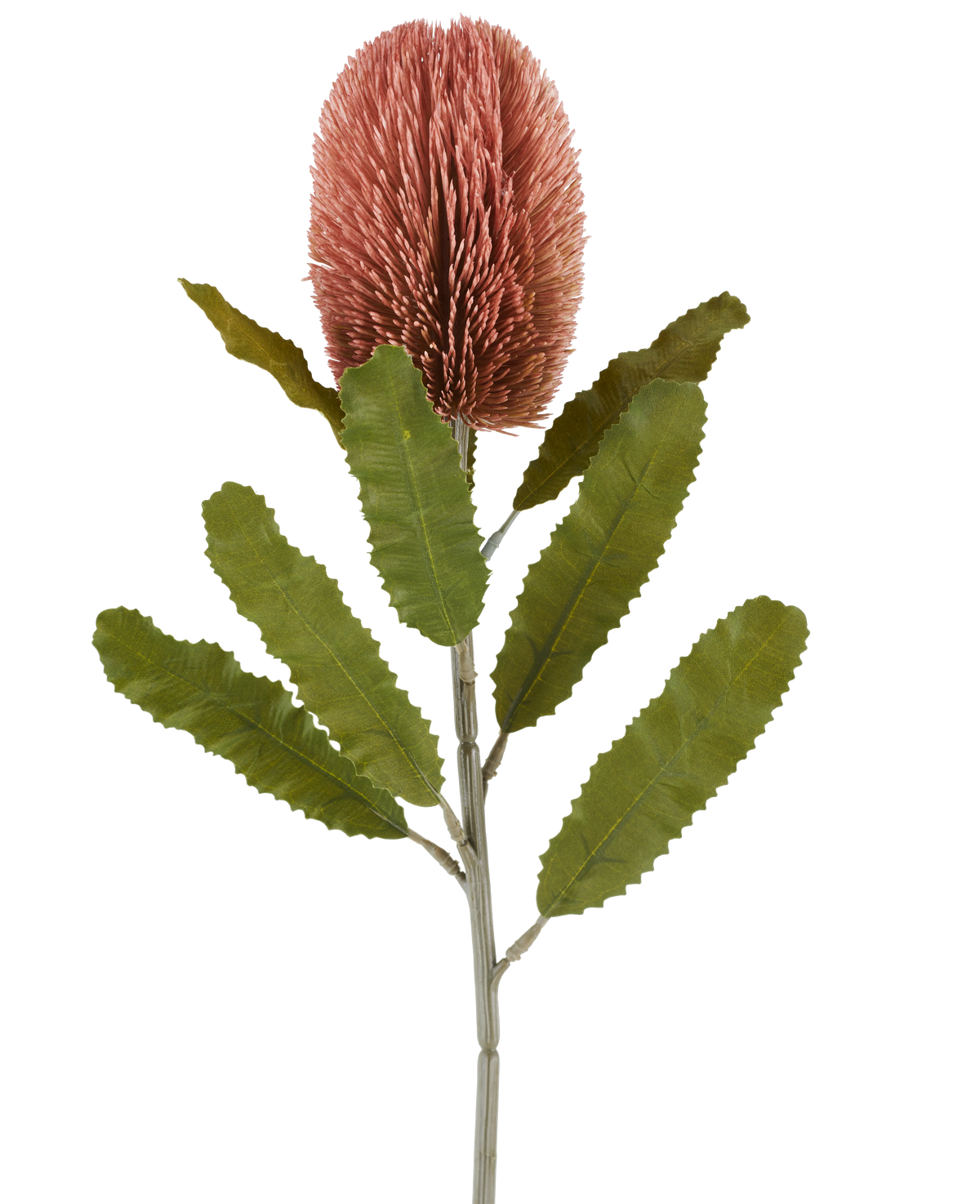 A single stem of the Artificial Flower Banksia 65 cm old pink has a large, pink, cylindrical flower and long, serrated green leaves that stand out against a white background.