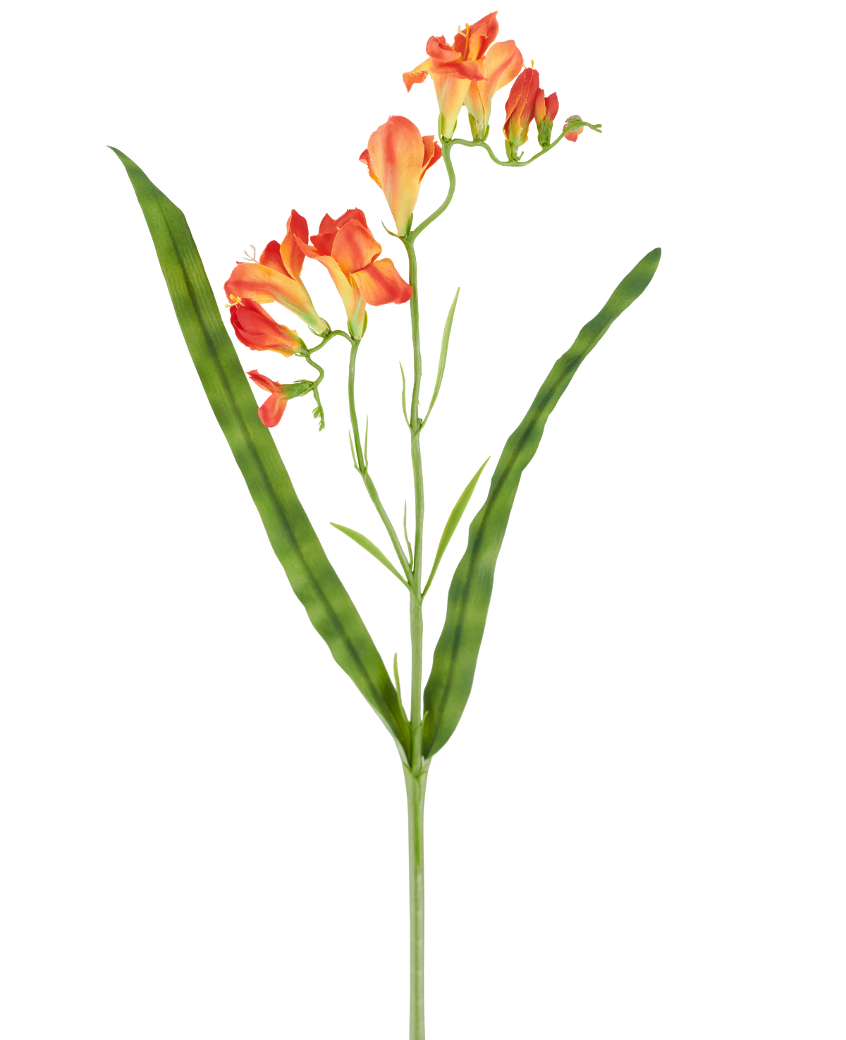 A single stem of the Artificial Flower Freesia 56 cm orange, with long, narrow green leaves and multiple orange freesia flowers in bloom at the top, pictured against a white background.