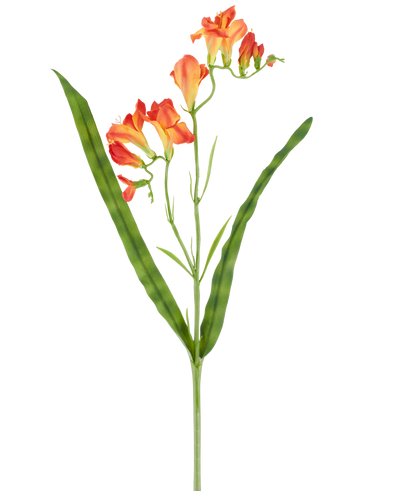 A single stem of the Artificial Flower Freesia 56 cm orange, with long, narrow green leaves and multiple orange freesia flowers in bloom at the top, pictured against a white background.