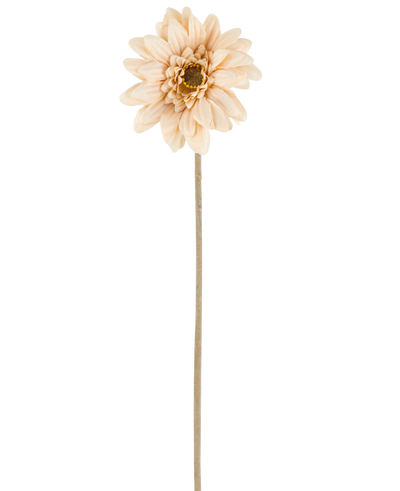 A single Artificial Flower Mini Gerbera in cream/brown, with layered petals and a long, thin stem of 47 cm, centered against a white background.