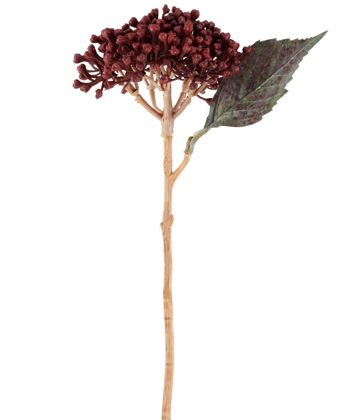 A single Artificial Flower Dried Hydrangea in burgundy red, with a length of 38 cm, with dried red-brown petals, a cluster of small buds and one green leaf on a long, slender stem, is depicted against a white background.
