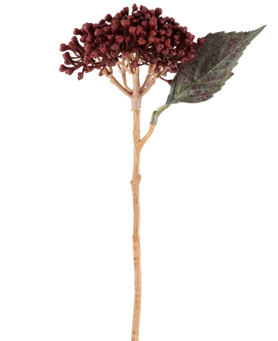 A single Artificial Flower Dried Hydrangea in burgundy red, with a length of 38 cm, with dried red-brown petals, a cluster of small buds and one green leaf on a long, slender stem, is depicted against a white background.