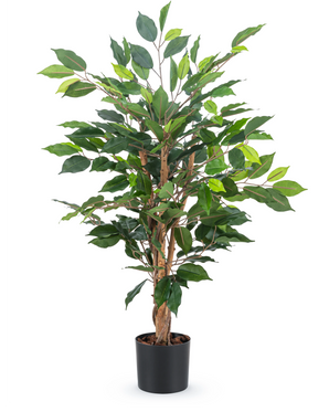 The Artificial Plant Ficus Green 90 cm has several brown stems and lush green leaves in a simple black pot - ideal as a stylish office plant.