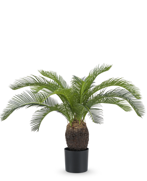 The Artificial Plant Baby Cycas Palm 60 cm has long, curved green leaves and a thick, textured brown trunk, presented in a pot against a plain white background.