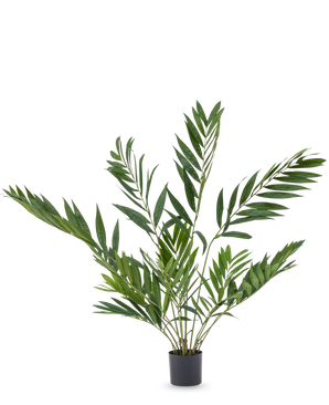The Artificial Palm Parlor Deluxe 90 cm is an indoor pot plant with long, slender green leaves on multiple stems, in a simple black pot against a plain white background.