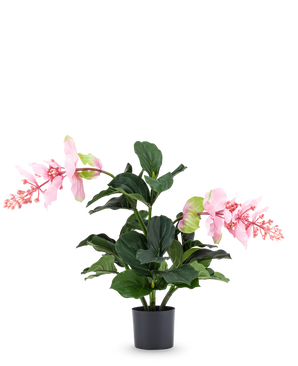 The Artificial Plant Medinilla 60 cm has large, dark green leaves and two high stems with pink flower clusters that resemble hibiscus and stands against a plain white background.