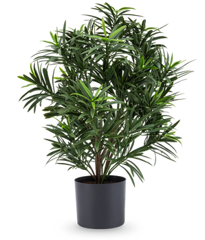 The Artificial Plant Podocarpus 47 cm has long, narrow leaves and comes in a sleek dark pot, making it a stylish houseplant for any room. Against a white background, it adds lush greenery to your room.